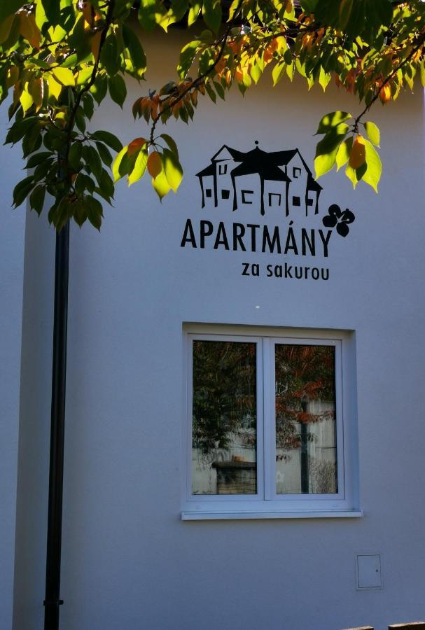 Apartmany Za Sakurou 호도닌 외부 사진